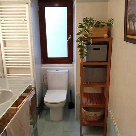 Apartment Iulenea *
